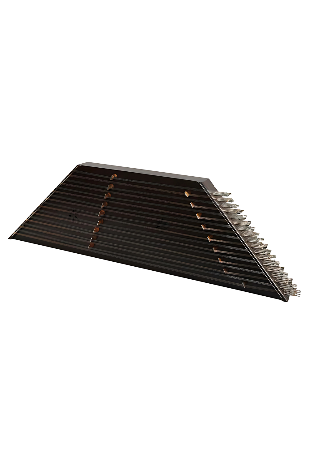 عکس سنتور تک مهر موسوی 1