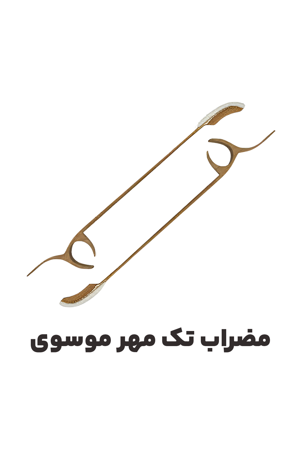 عکس مضراب تک مهر موسوی