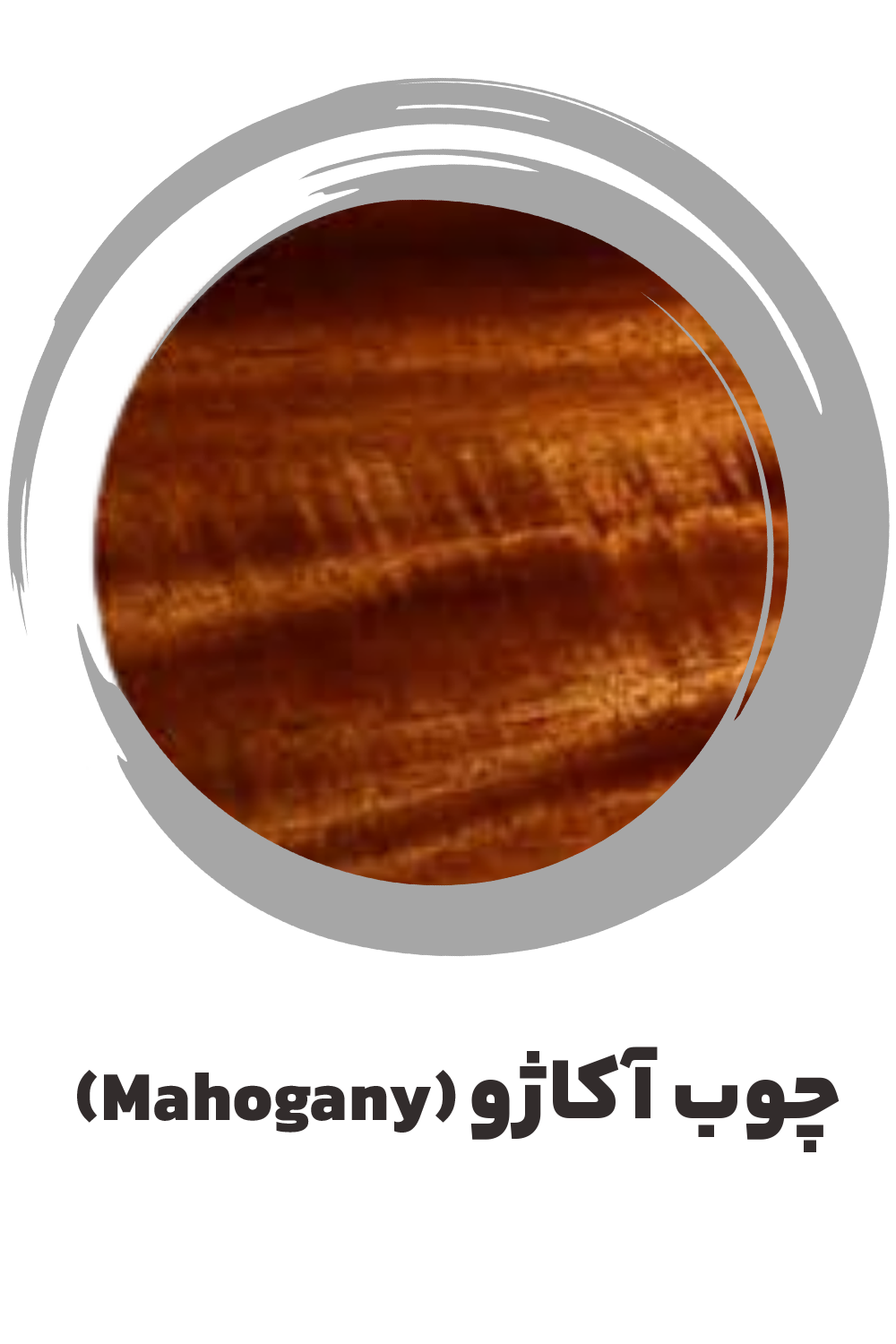 عکس چوب آکاژو (Mahogany) ساز موسوی