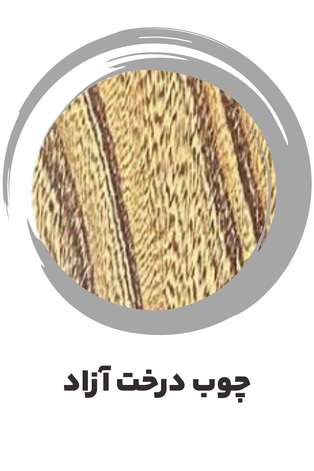 عکس چوب آزاد ساز موسوی