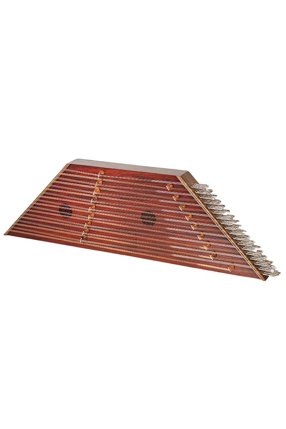 عکس رز حمید موسوی 1