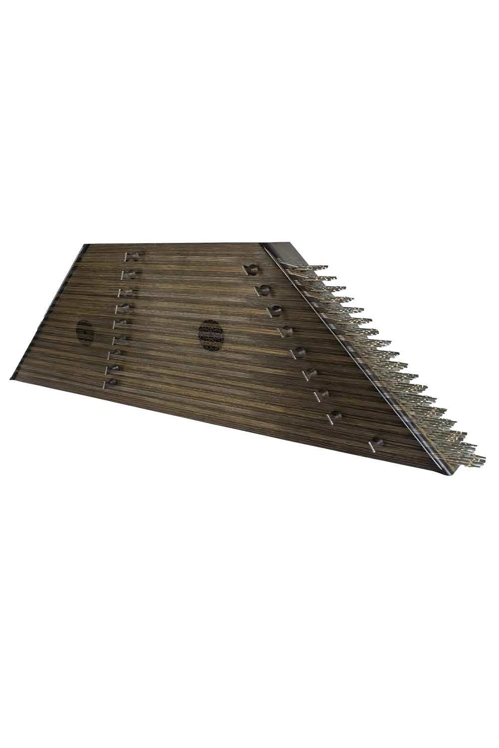 عکس آلپی گردو مکزیکی حمید موسوی 1