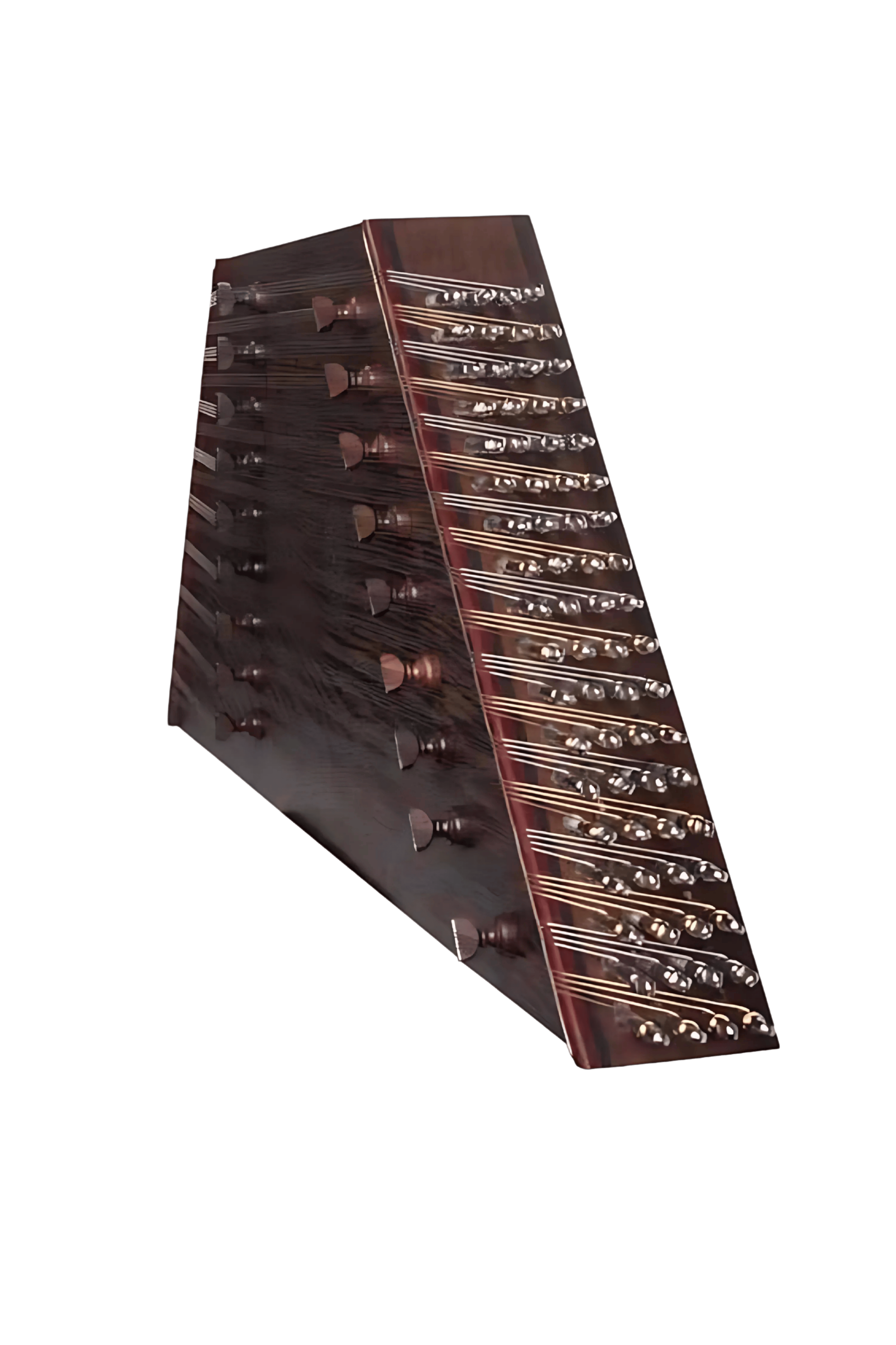 عکس سنتور ونگه حمید موسوی 1