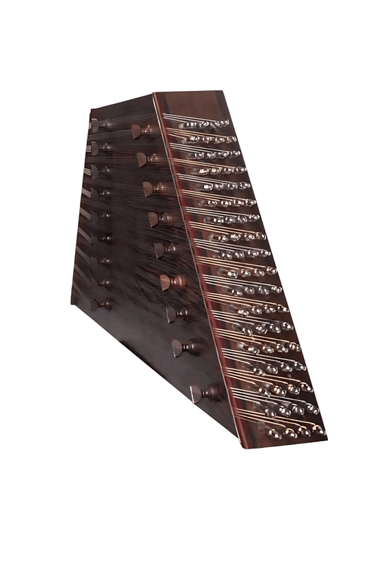 عکس سنتور ونگه حمید موسوی 1