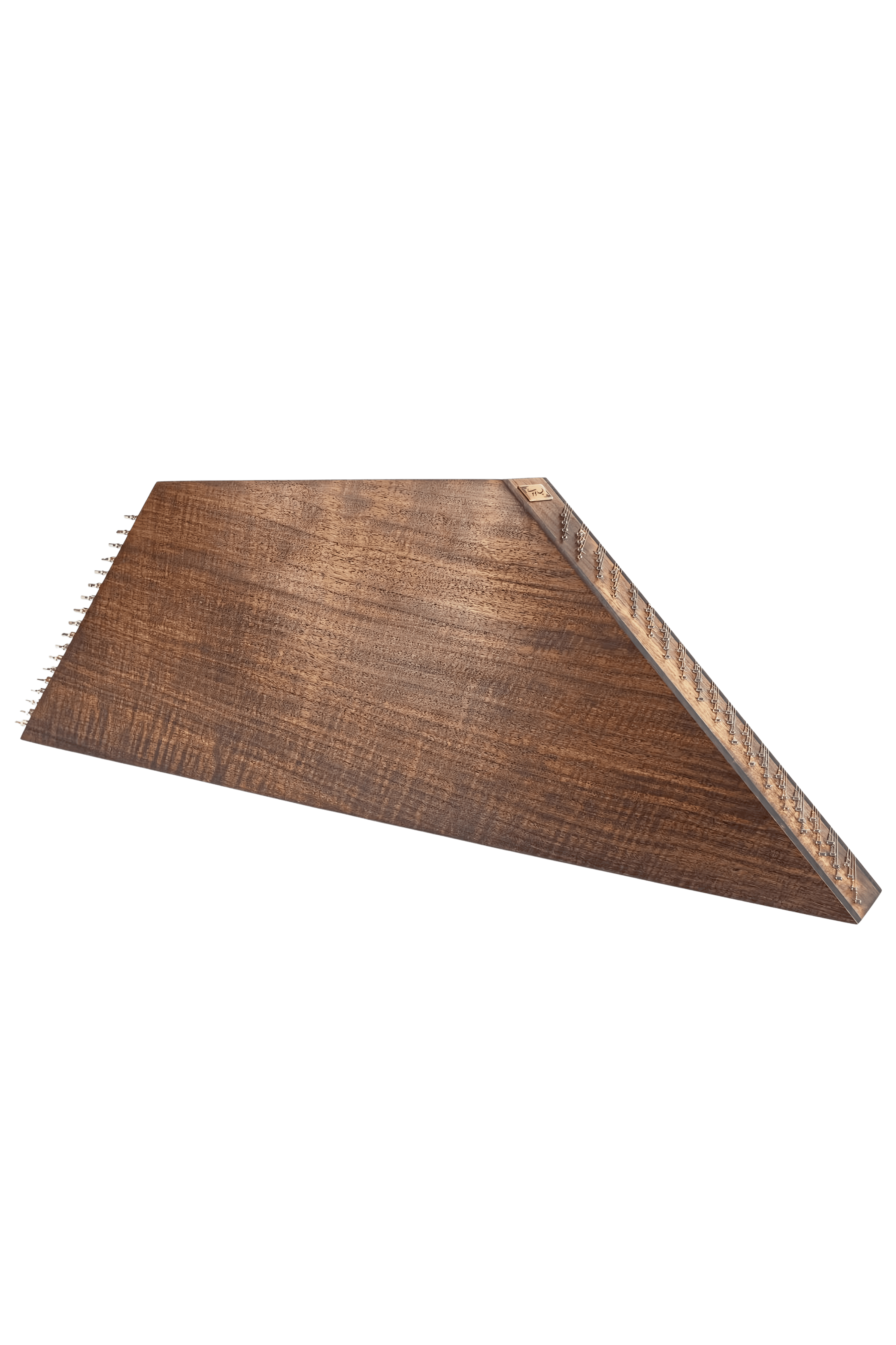 عکس سنتور زبرانو حمید موسوی 3