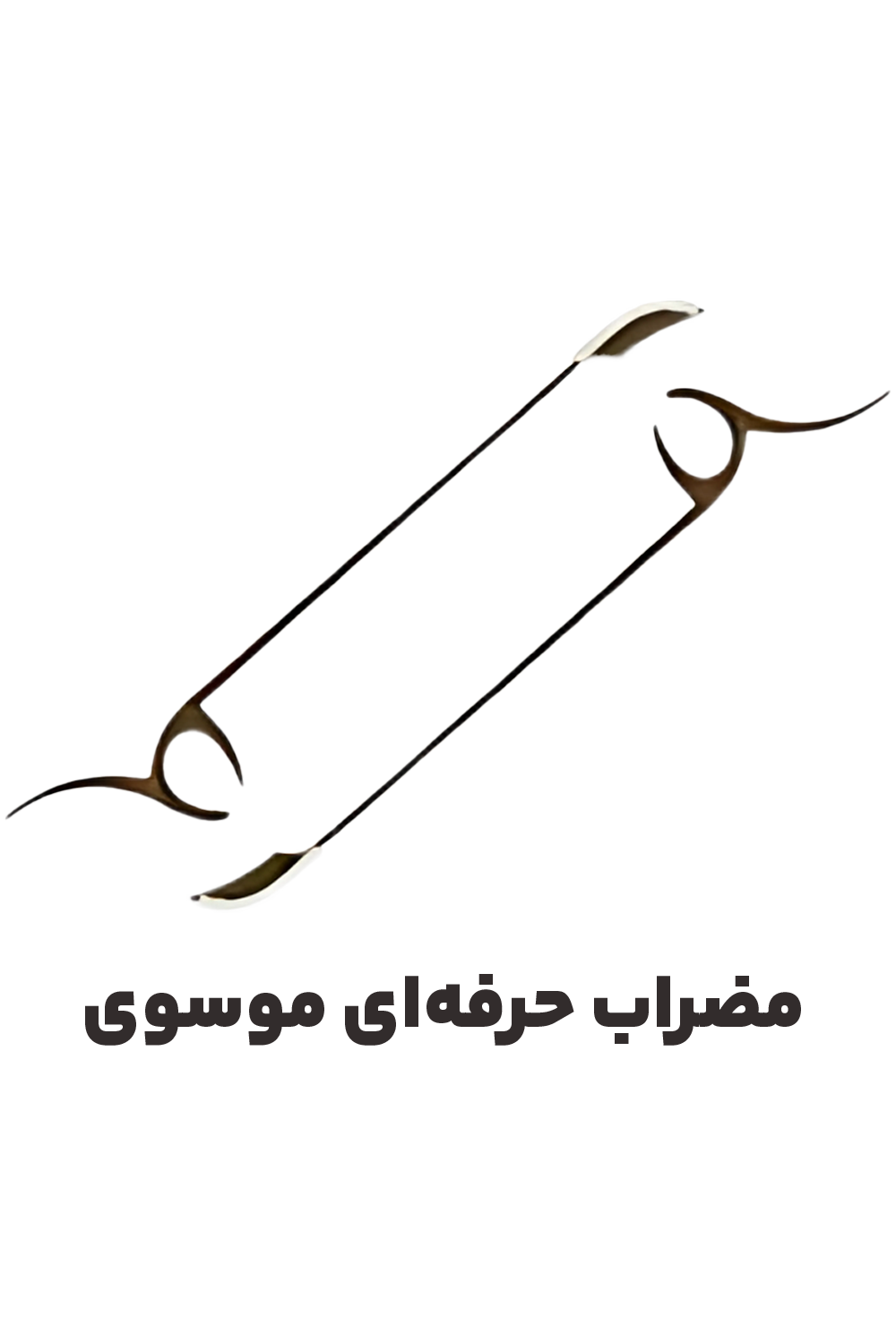 عکس مضراب حرفه‌ای موسوی