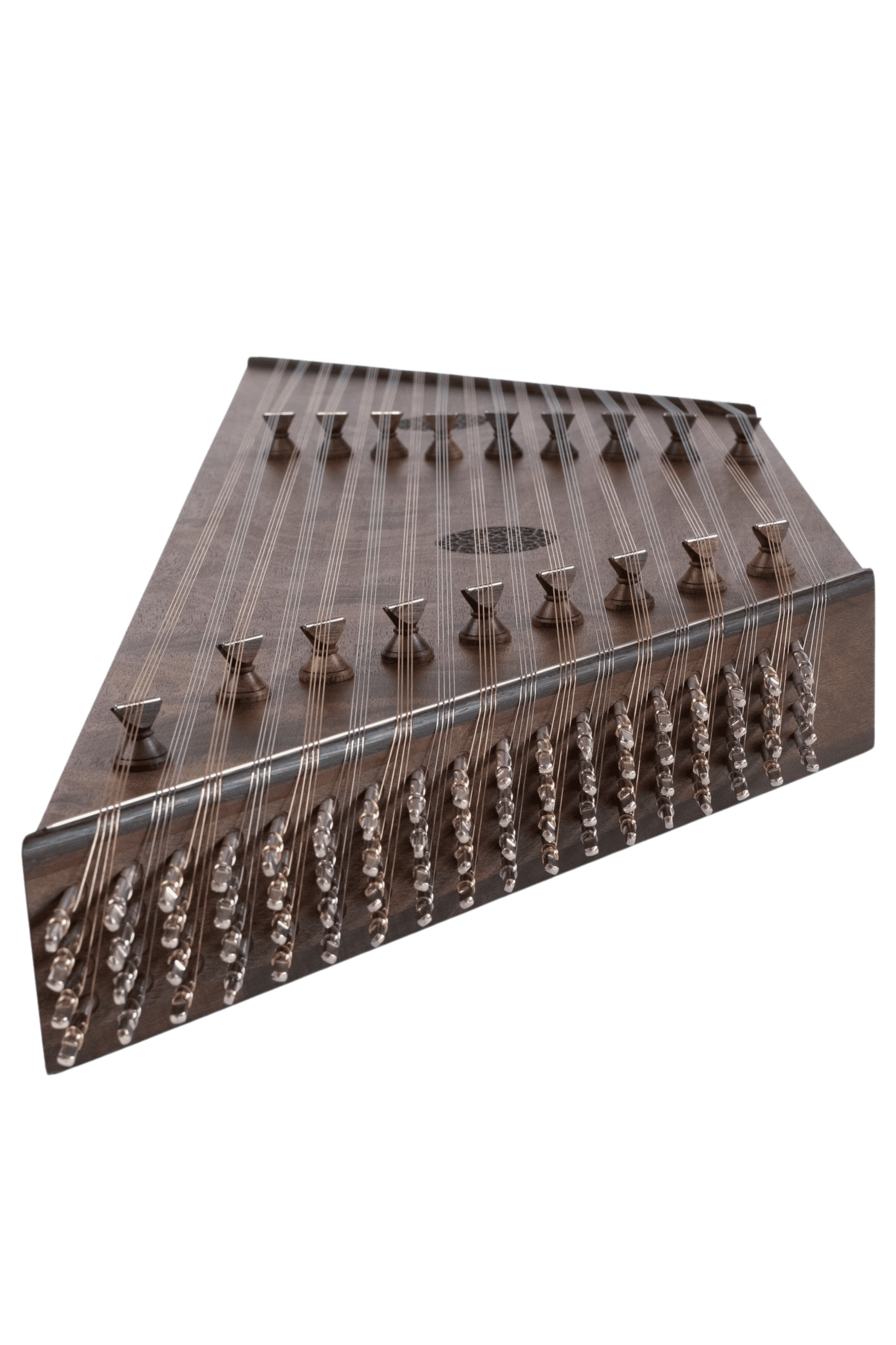 عکس سنتور بوبینگا حمید موسوی 1