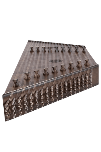 عکس سنتور بوبینگا حمید موسوی 1