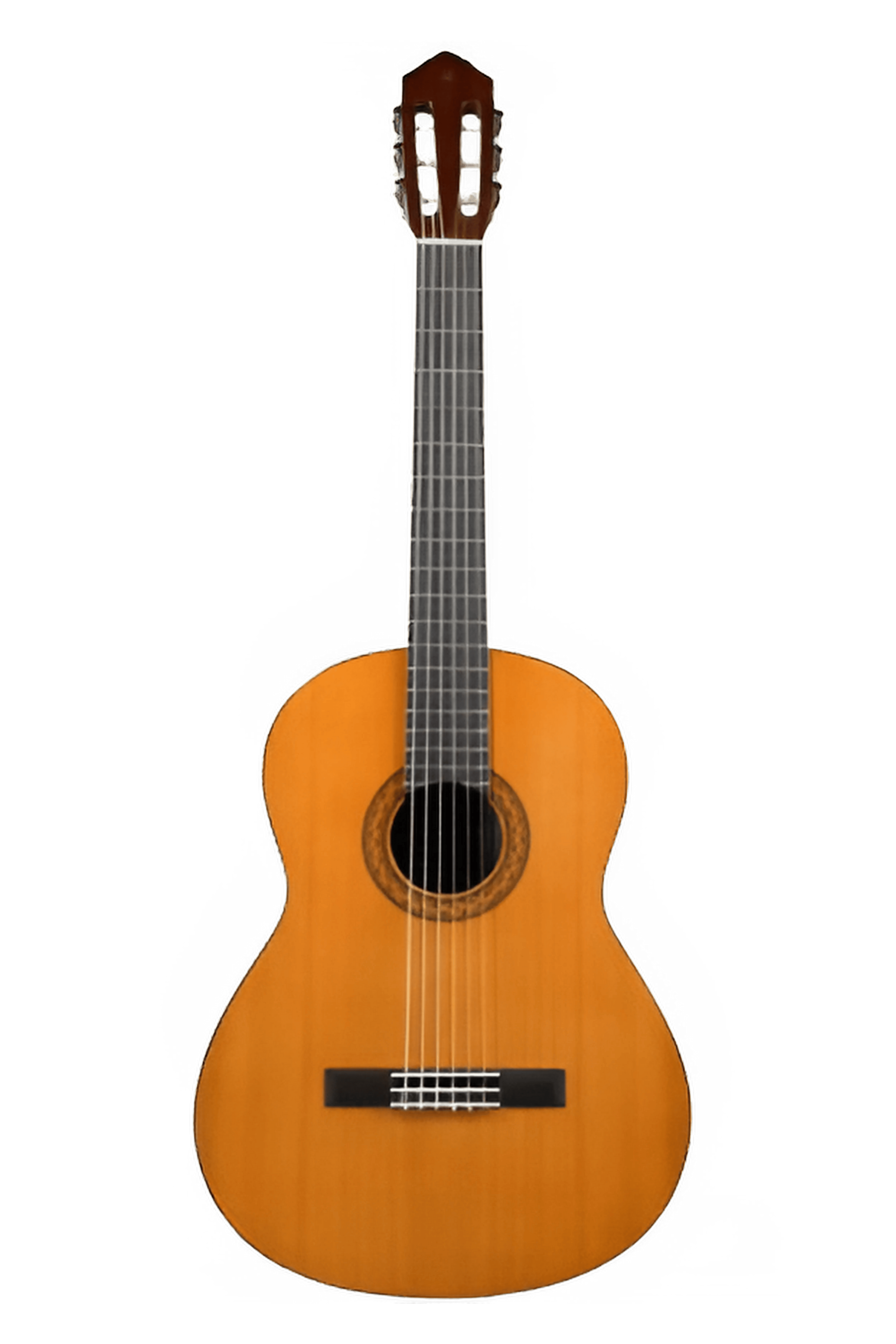 عکس 2 گیتار کلاسیک یاماها C40