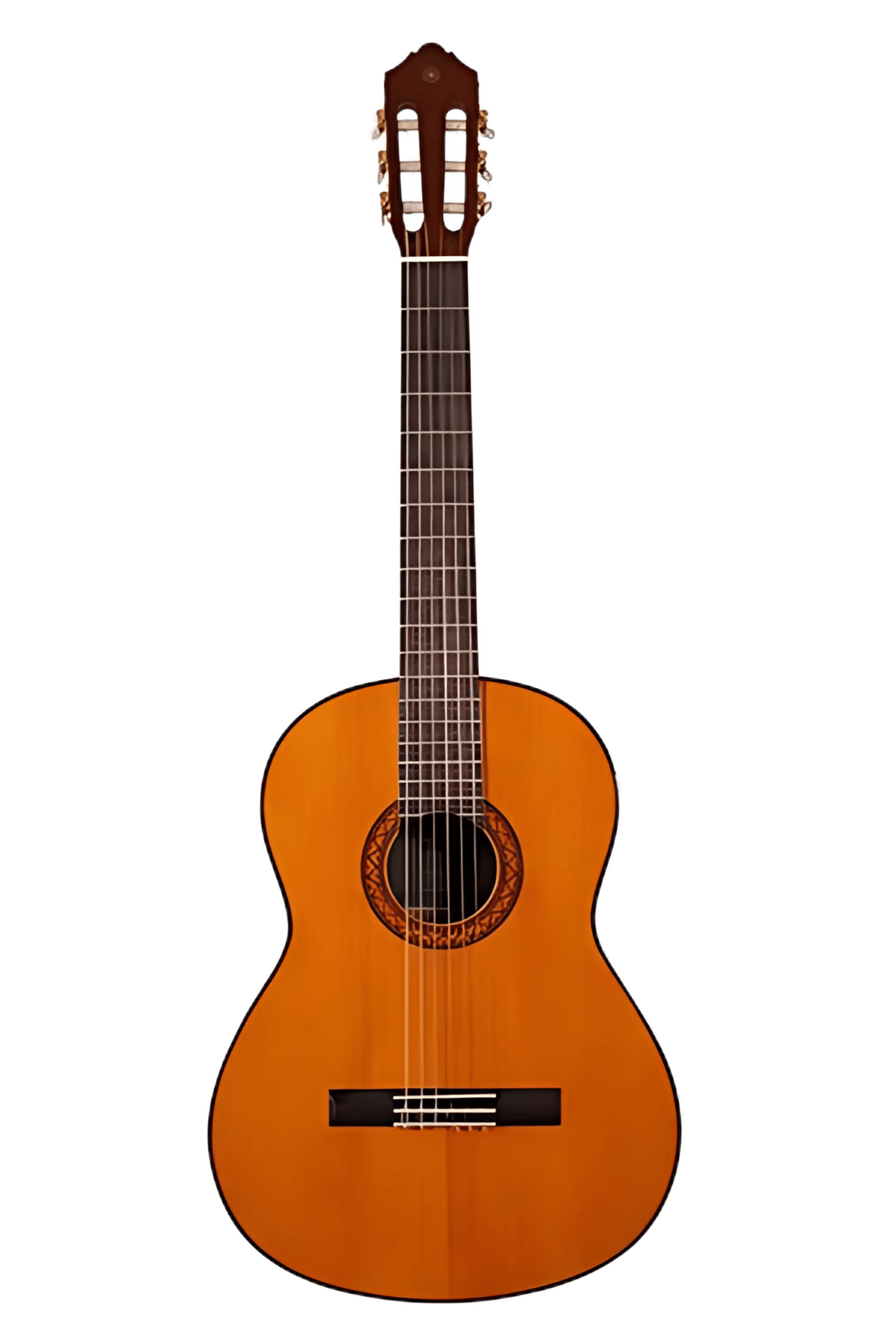 عکس 1 گیتار کلاسیک یاماها C70