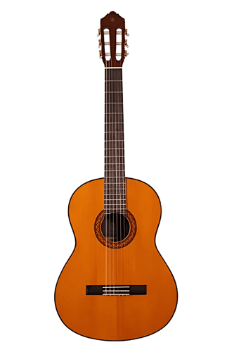 عکس 1 گیتار کلاسیک یاماها C70