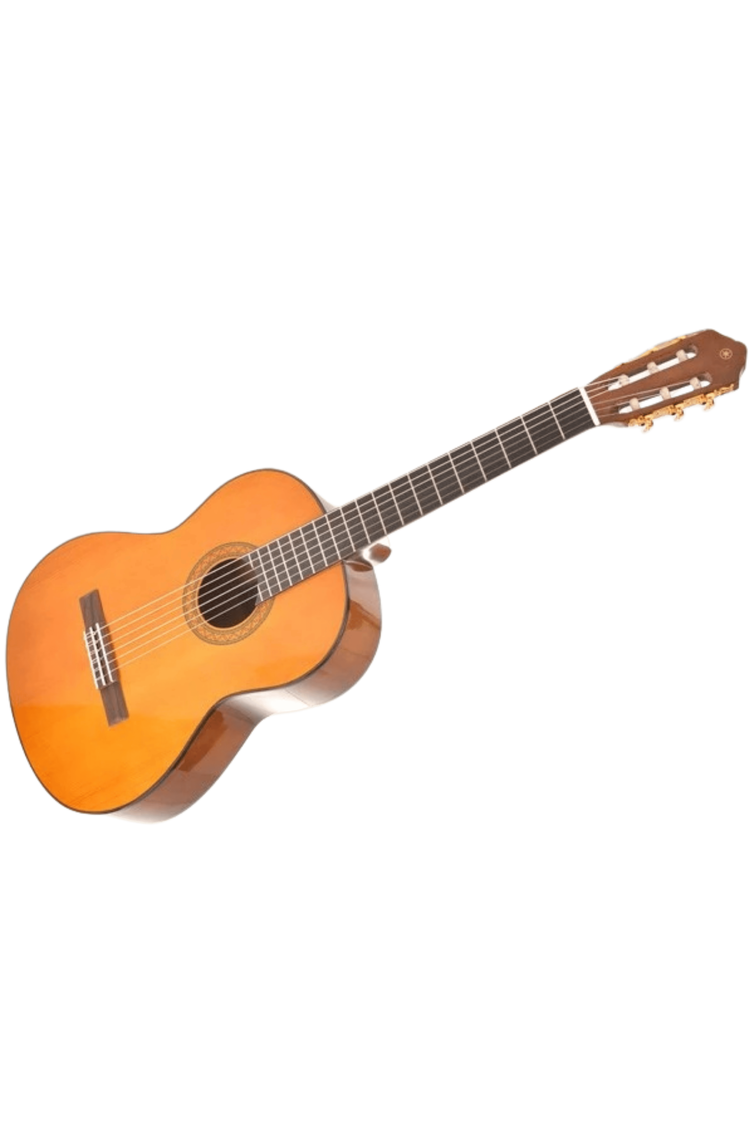 عکس 2 گیتار کلاسیک یاماها C70