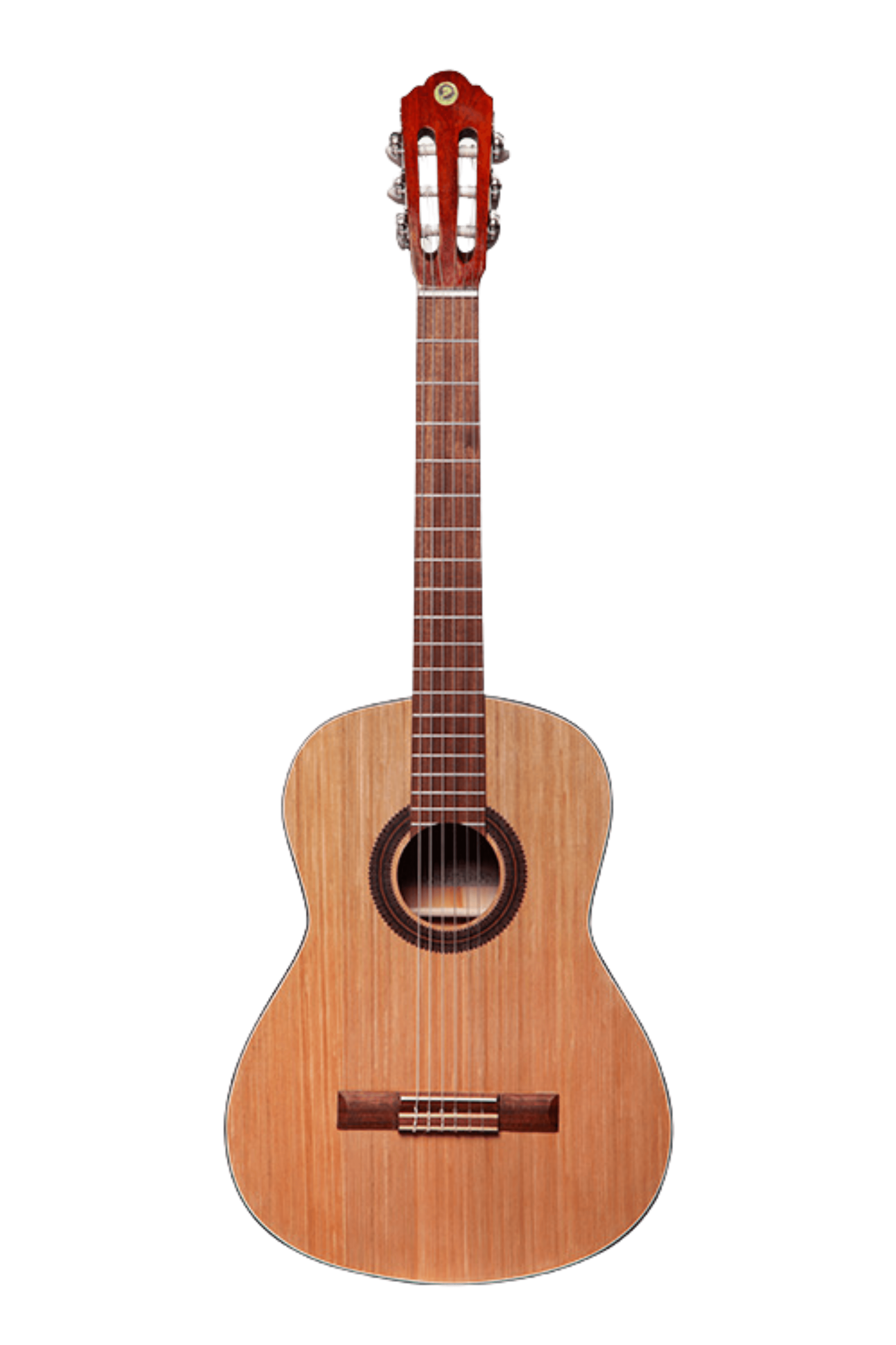 عکس 1 گیتار کلاسیک مت دو پلاس