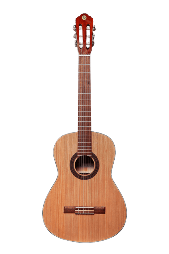 عکس 1 گیتار کلاسیک مت دو پلاس