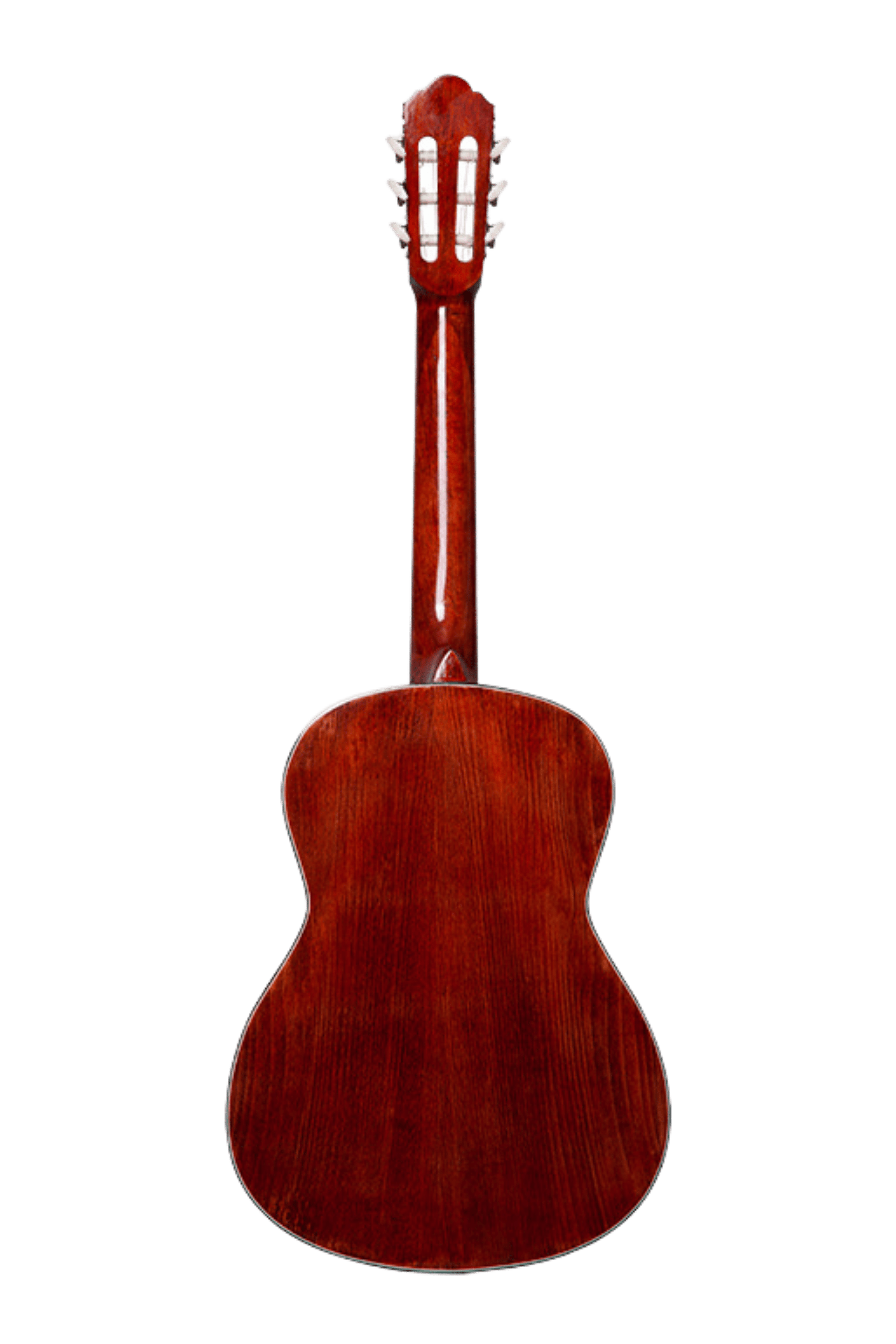 عکس 2 گیتار کلاسیک مت دو پلاس