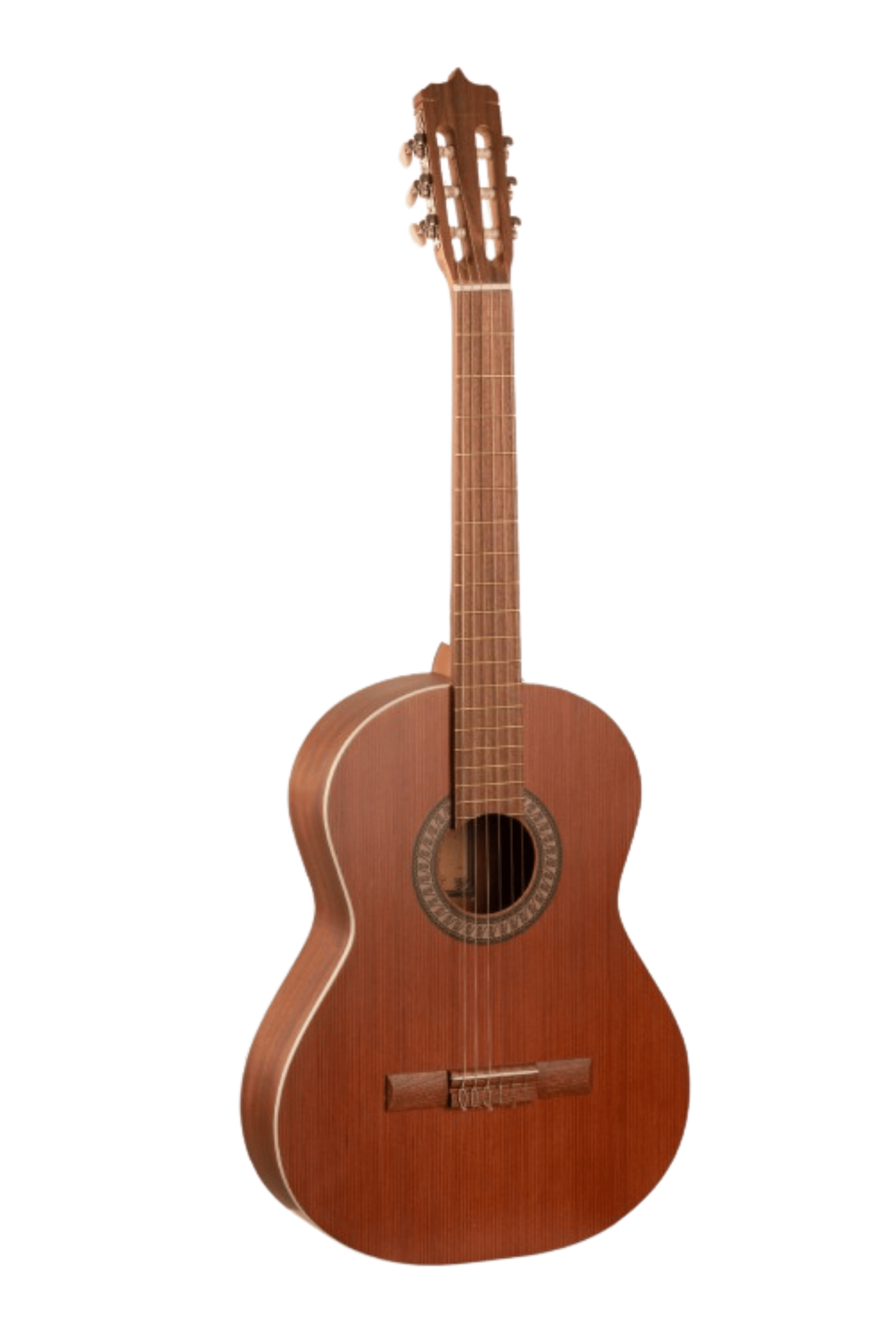 عکس 1 گیتار کلاسیک پارسی مدل P40