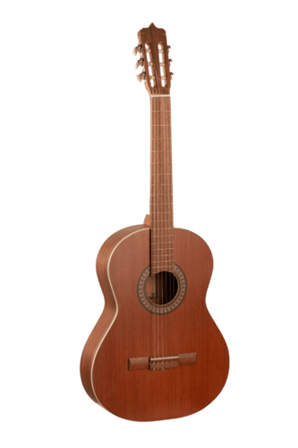 عکس 1 گیتار کلاسیک پارسی مدل P40