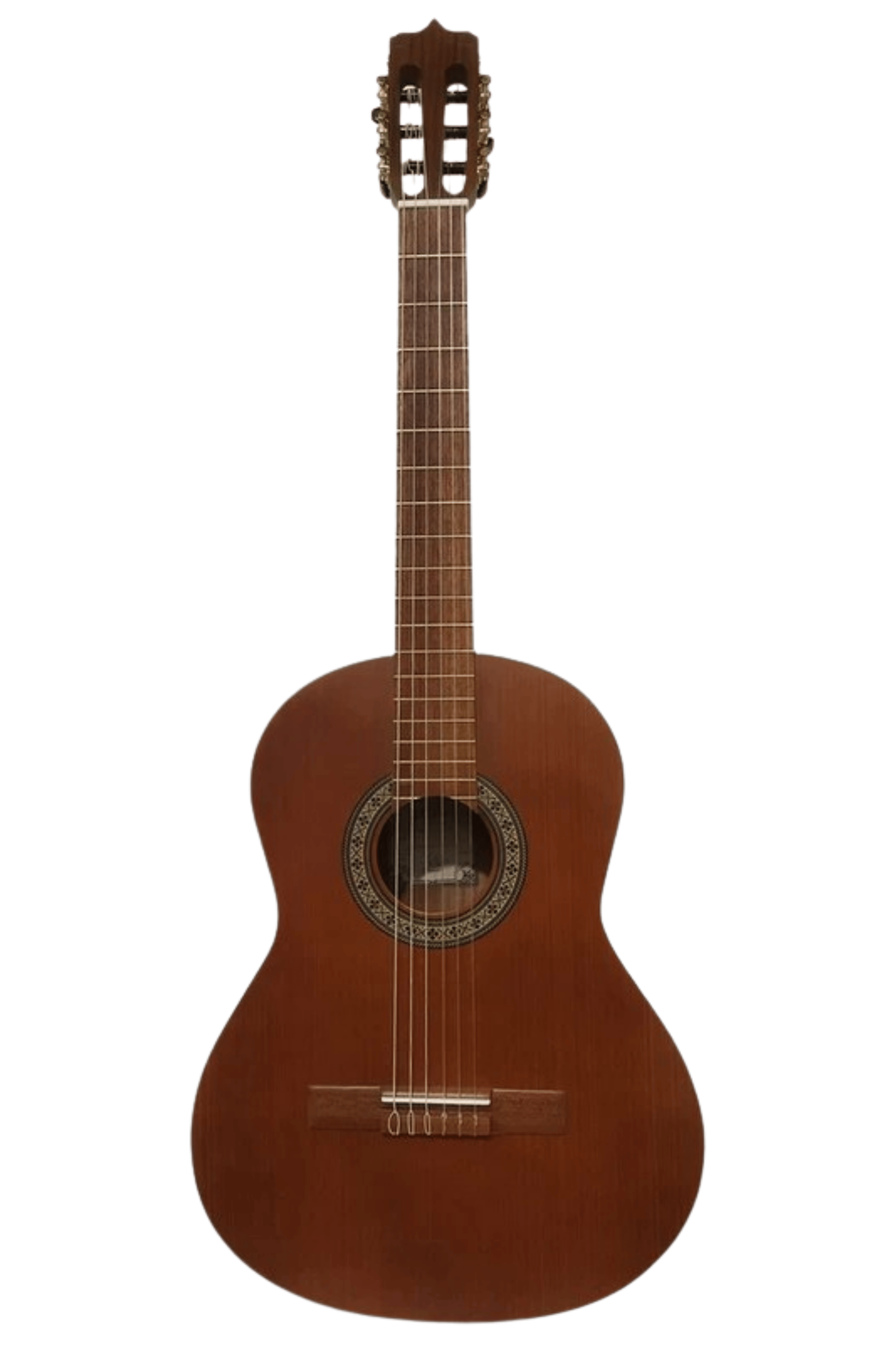 عکس 2 گیتار کلاسیک پارسی مدل P40