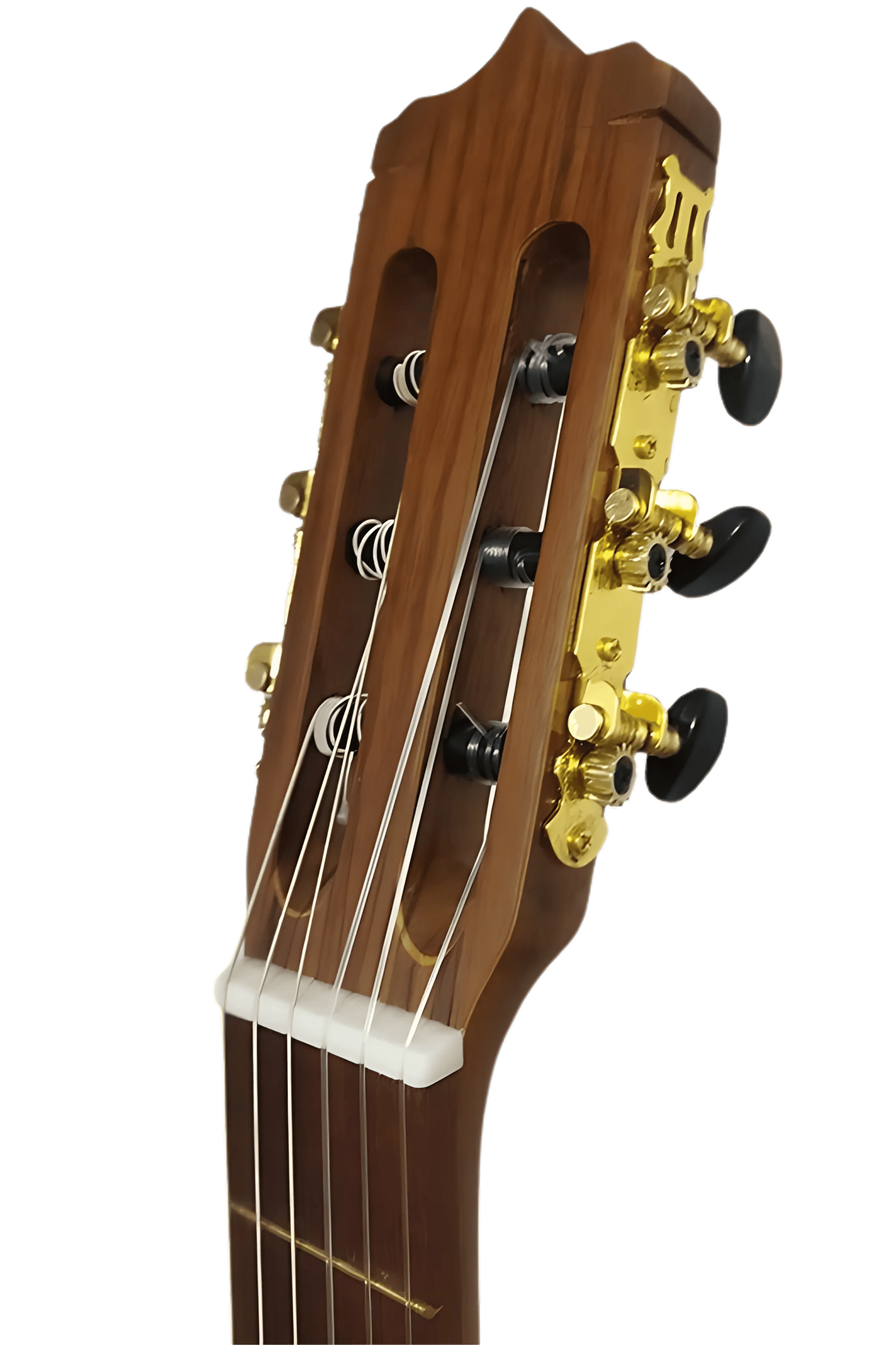 عکس 4 گیتار کلاسیک پارسی مدل P40