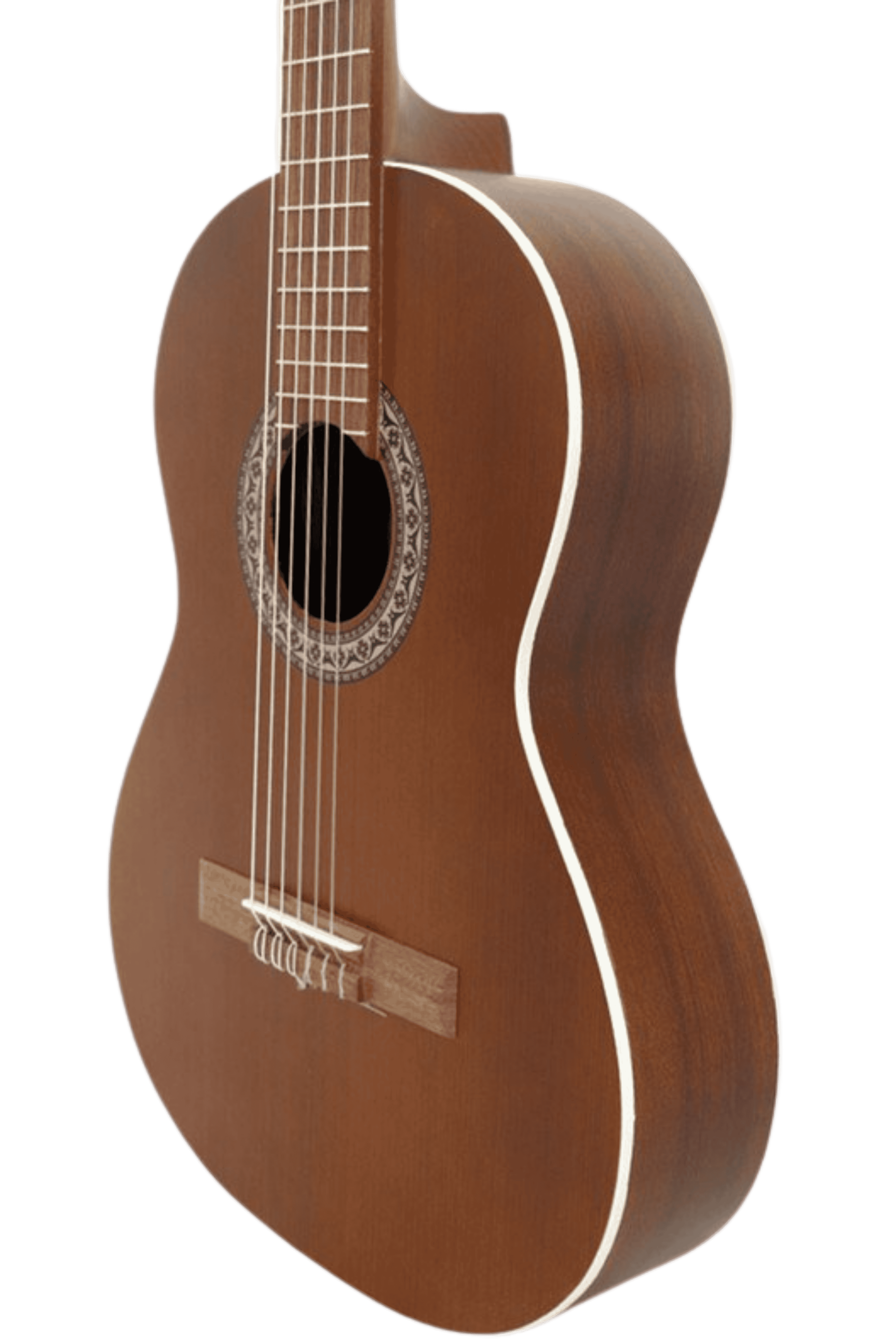 عکس 5 گیتار کلاسیک پارسی مدل P40