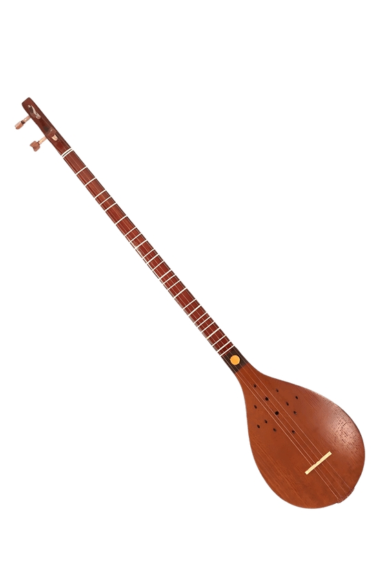 عکس 1 سه تار استاد خلیل موسوی مدل معرق کاری