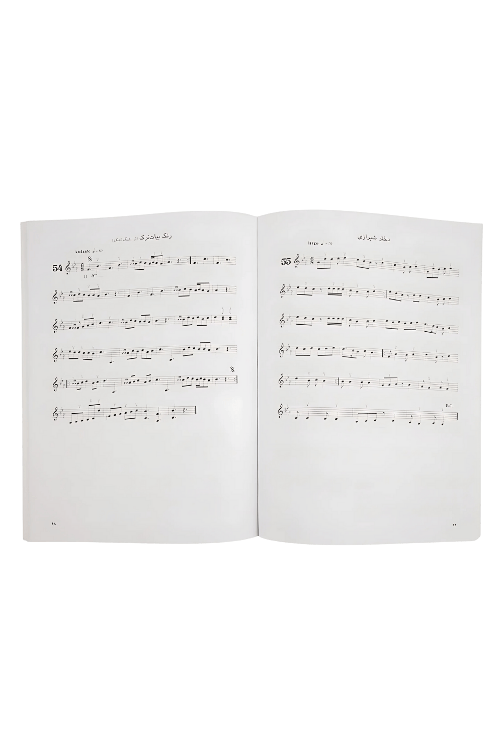 عکس 4 کتاب شیوه پشنک کامکار